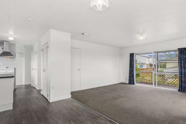 33b No 3 Road Te Puke_4