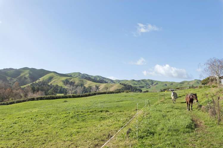 41 Matahuru Road Waiterimu_30