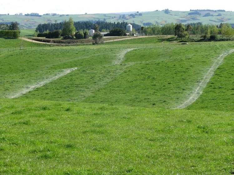 369 Black Gully Road West West Otago Surrounds_10