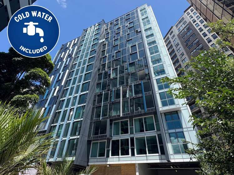 17a/3 Whitaker Place Grafton_0