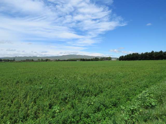 150 Paki Paki Road Longlands_4