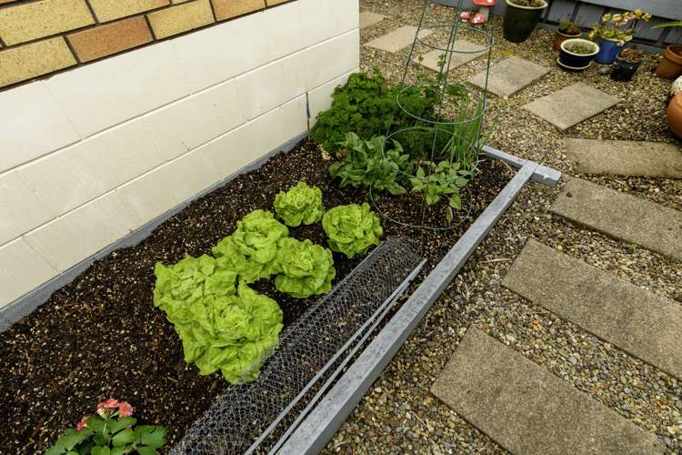 10/492 Otumoetai Road Otumoetai_13