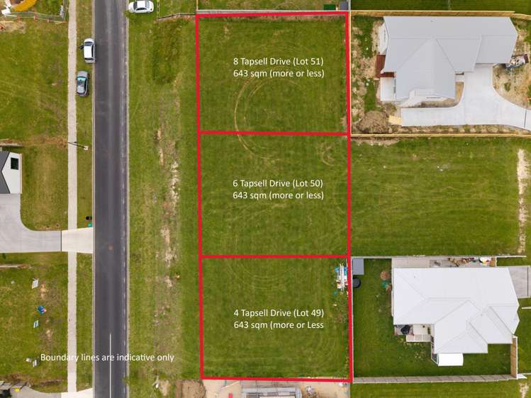 4,6,8 Tapsell Drive Matamata_6