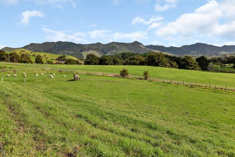 1488 Kirikopuni Valley Road Whangarei_29