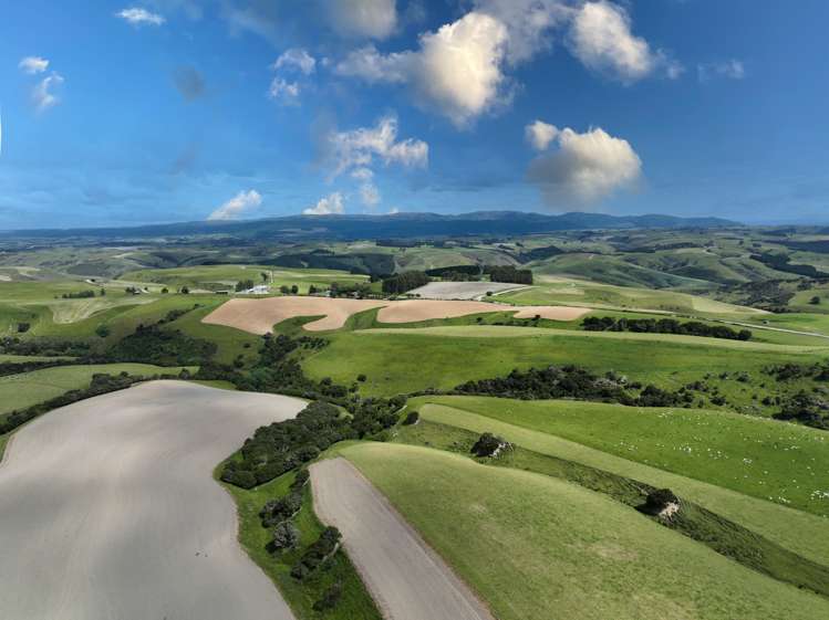 1043 Breakneck Road Lawrence_11