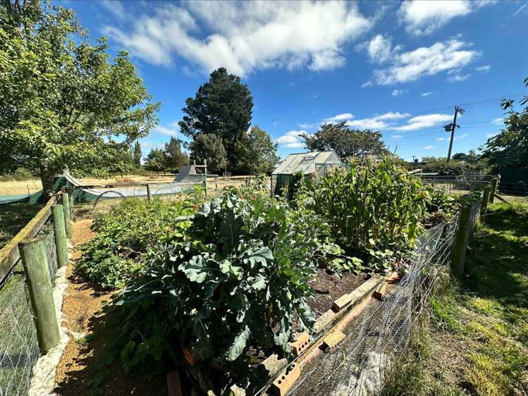 311 Hollands Road Darfield_16