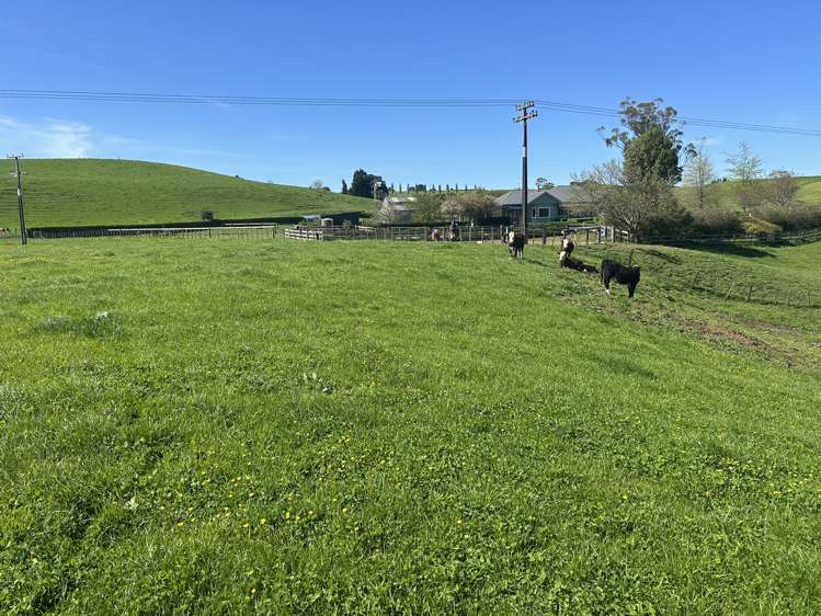 51 Kiwi Road Pirongia_11