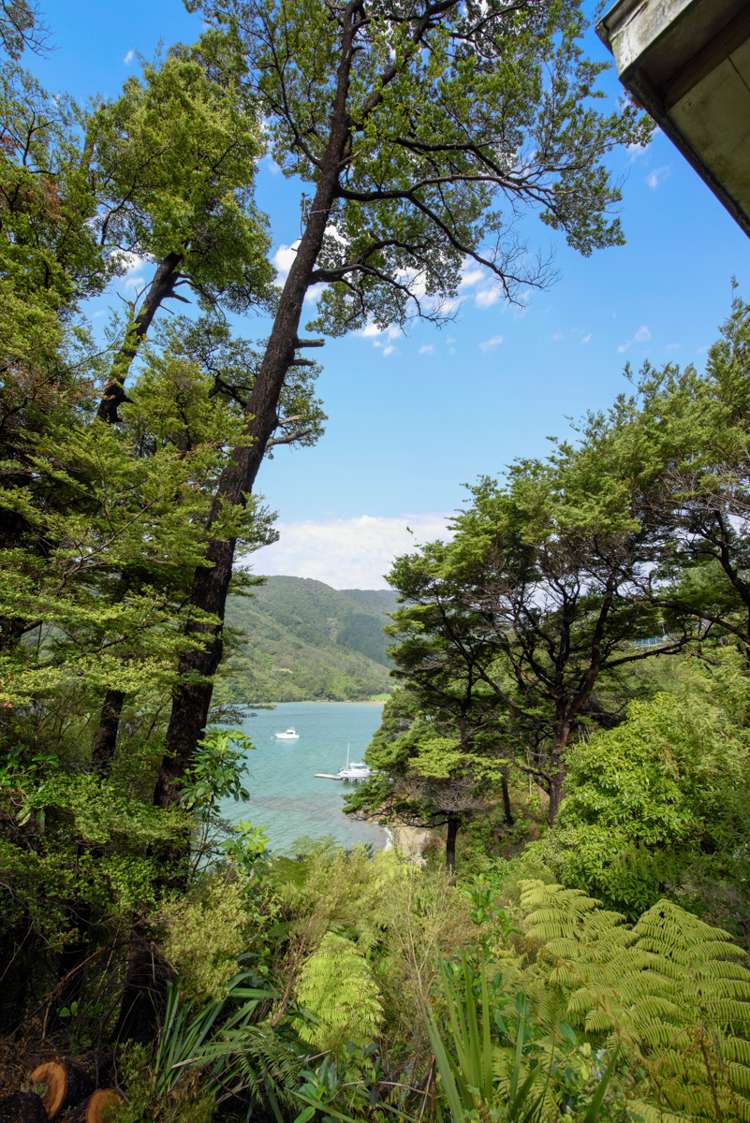 645 Port Underwood Road Whatamango Bay_14