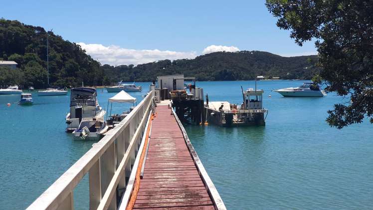 Lot 1/DP51532 Schoolhouse Bay Road Kawau Island_27