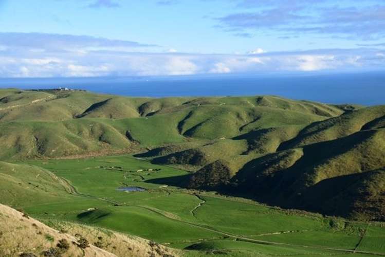 321 Boom Rock Road Ohariu_14