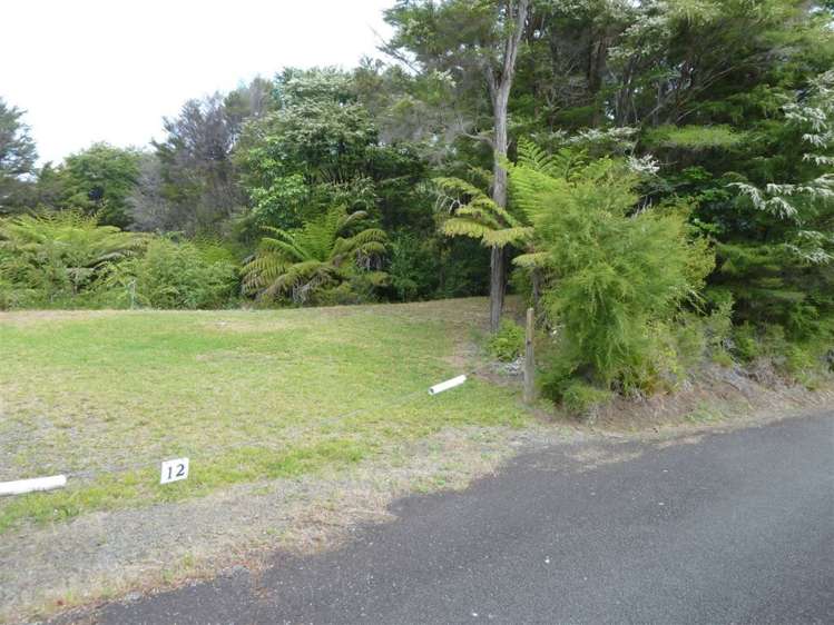 12 Rewa Rewa Vall Tairua_7