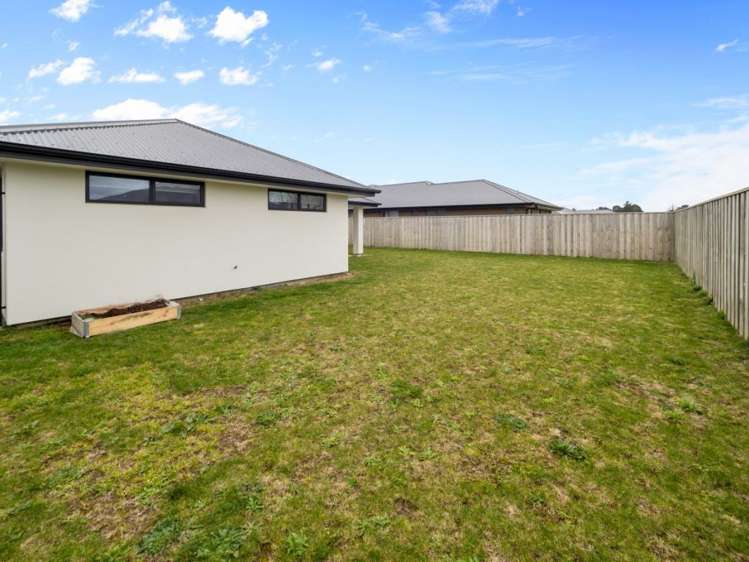 142 Trevors Road Hampstead_17