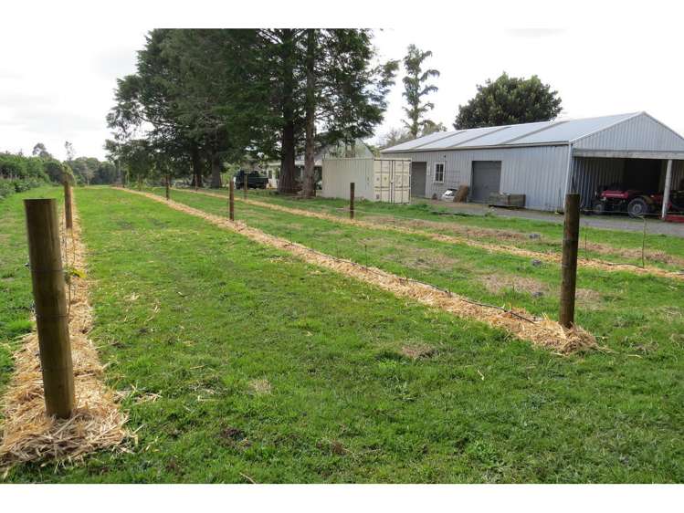 97 Valencia Lane Kerikeri_14