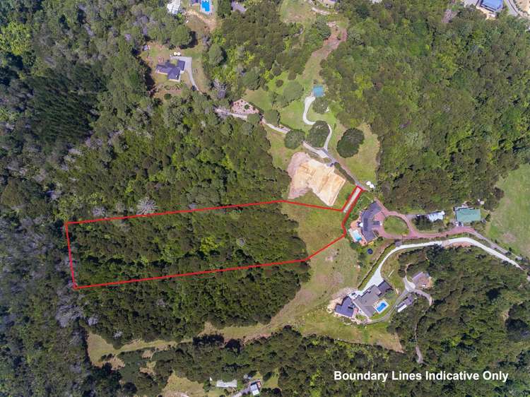 249a Wright Road Dairy Flat_6