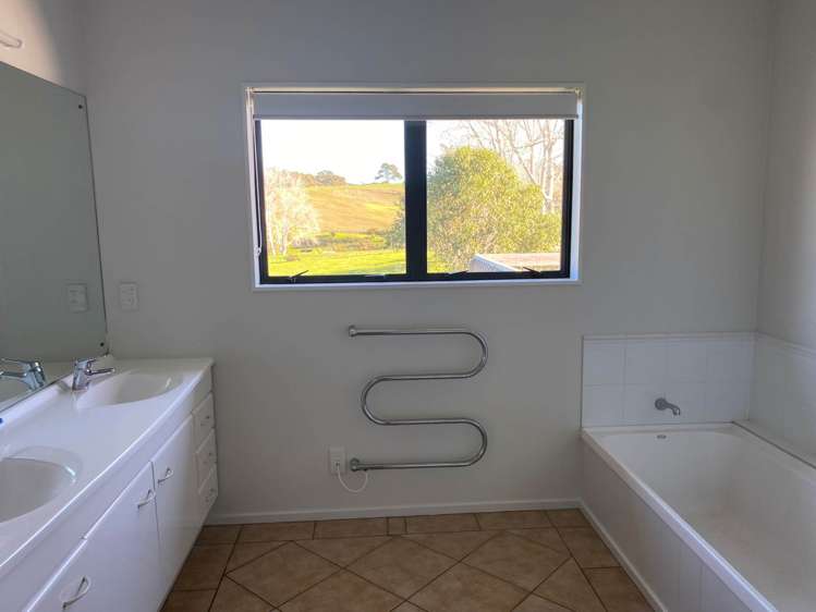 253 Kahikatea Flat Road Dairy Flat_12