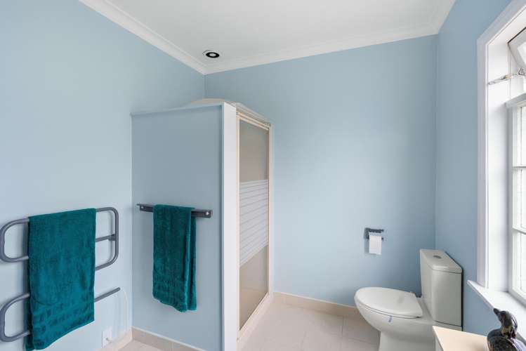 3 Worcester Street Levin_15