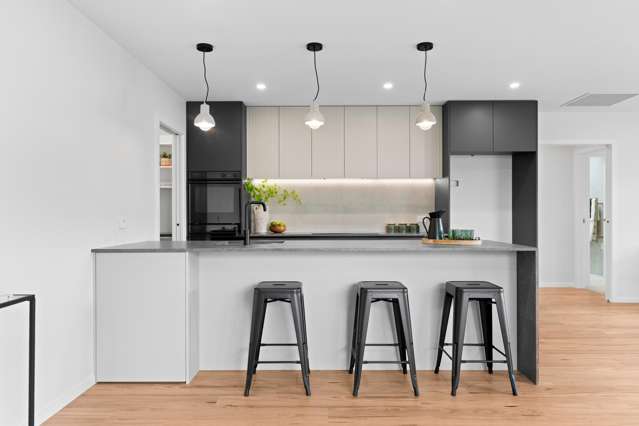 31 Plains Avenue Masterton_2