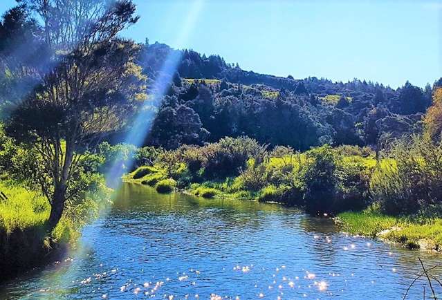 WAIMA RIVER SIDE