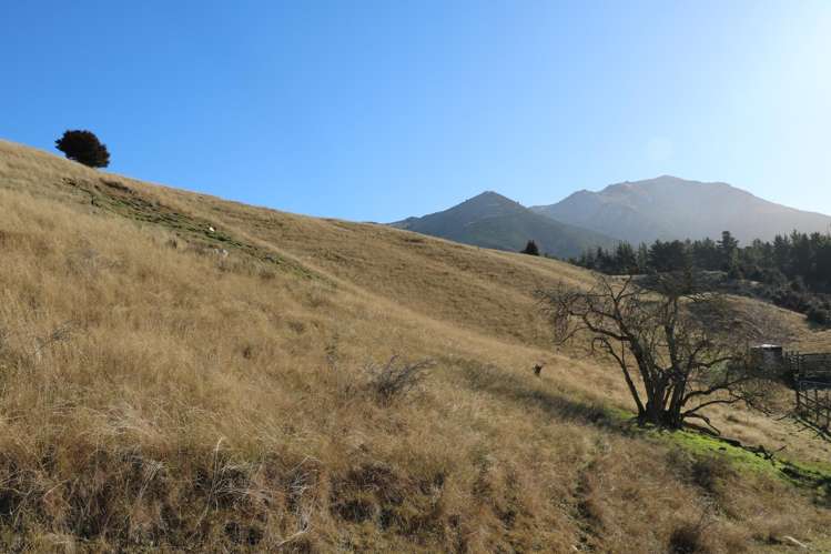 Lake Hawea Albert Town Road Lake Hawea_14