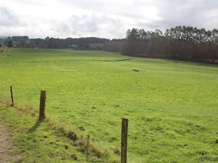 86 Glengarry Road Dannevirke_15