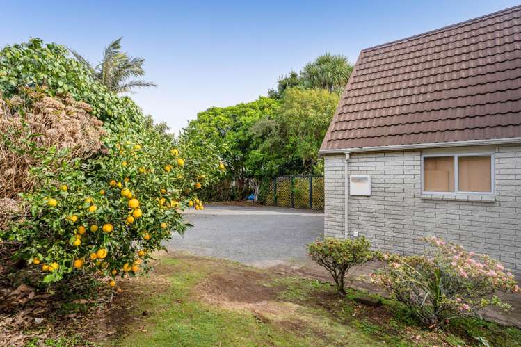 1138 South Road Oakura_24