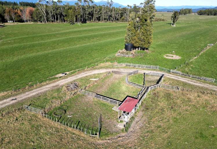 24 Mossy Creek Road Ikamatua_20