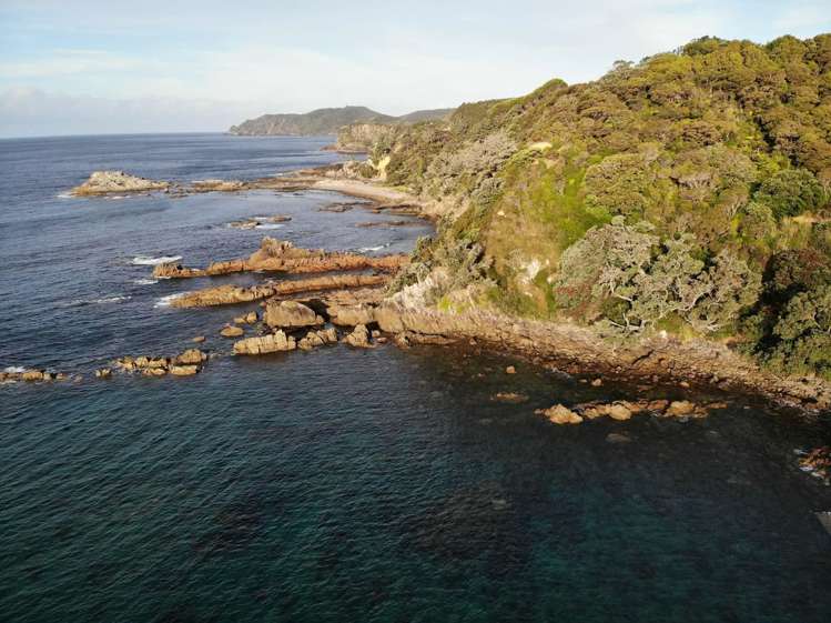 Lot 4/303 Waiaua Road_5