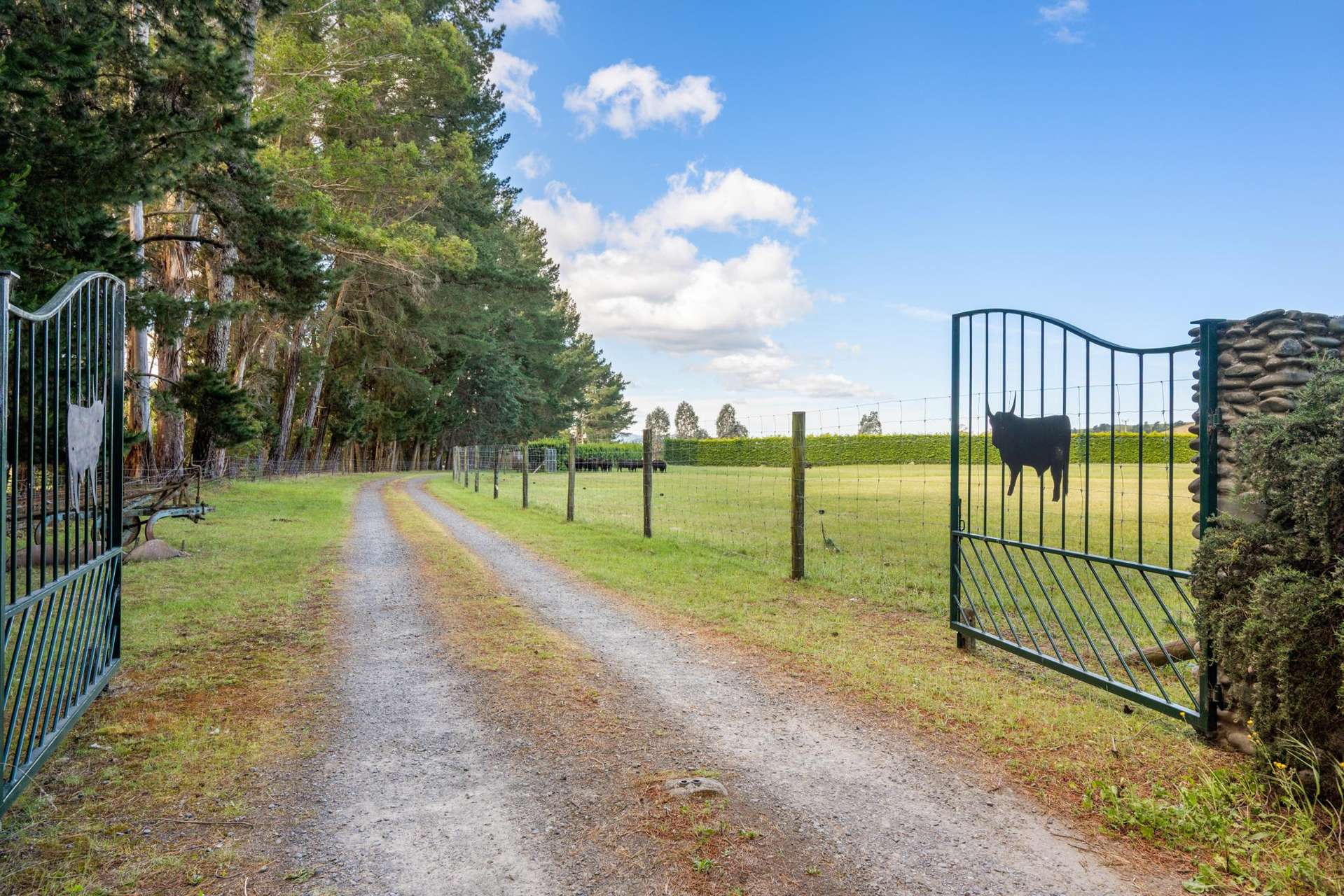 1944 State Highway 63 Wairau Valley_0