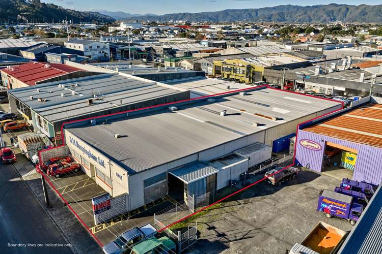 60 Fitzherbert Street Petone_0
