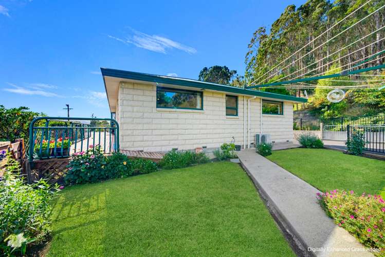 50 Auskerry Street Palmerston_27