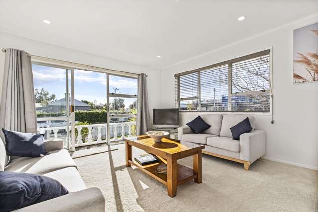 1/2 Palm Court Drive Glen Eden_4