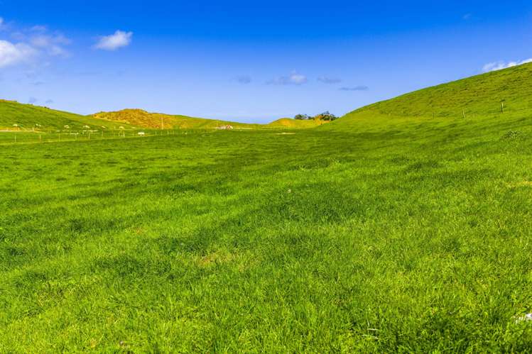 780 Te Maire Road Te Kopuru_12