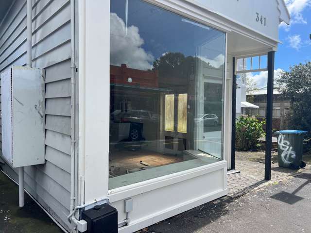 341 Dominion Road Mt Eden_2