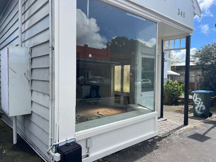 341 Dominion Road Mt Eden_2