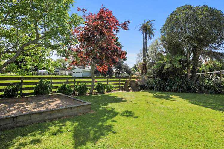 115 Ross Street Pirongia_25