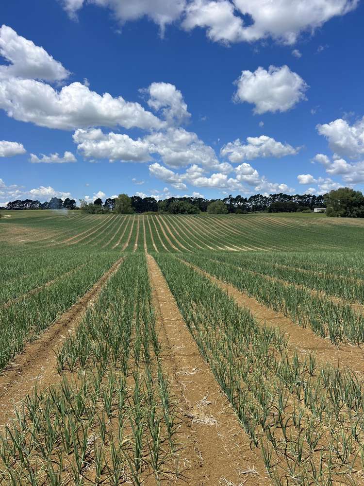 76 Brookside Road Glenbrook_7