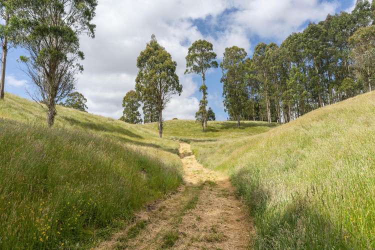 173A Otake Road Kinloch_11