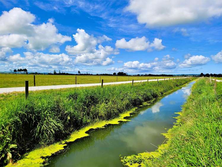 Tramline Road Ruawai_11
