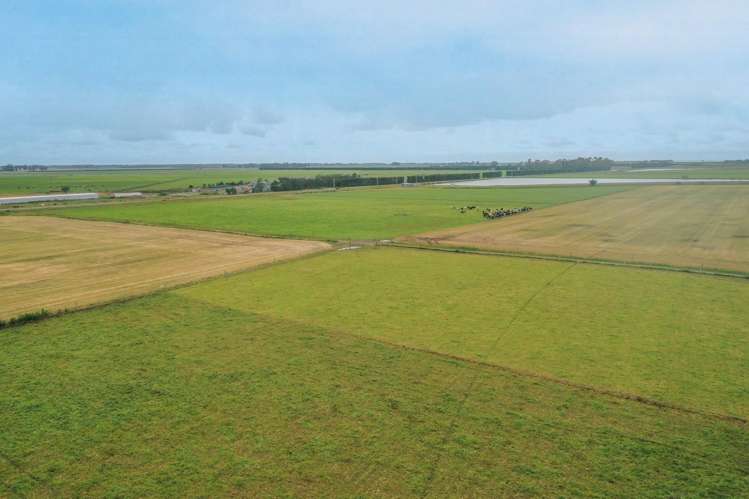 Burnham Road Temuka_3