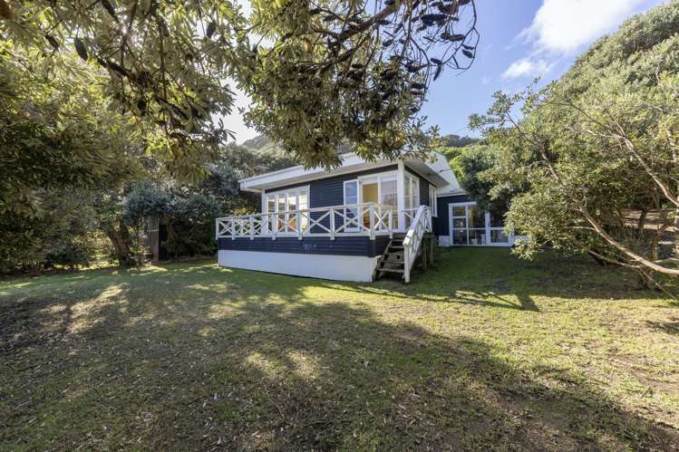 49 North Piha Road_0