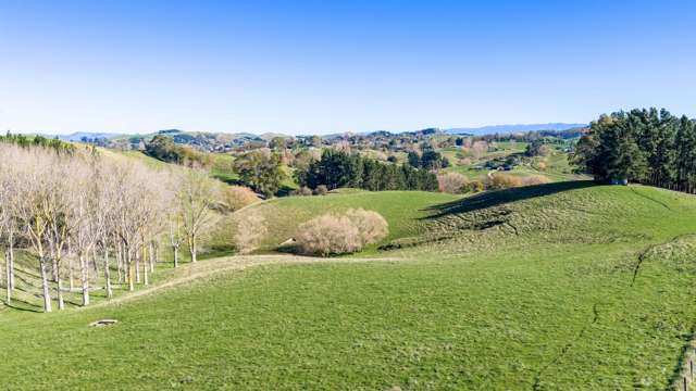 12 Homewood Road Waipawa_2