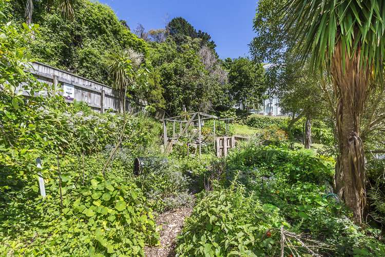 201 Aro Street Aro Valley_5