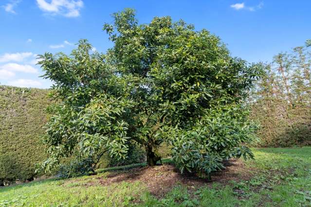 12 Timon Drive Hauraki Surrounds_2