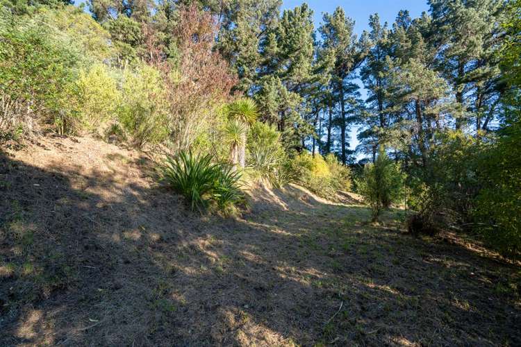 68 Rapaki Road Hillsborough_6