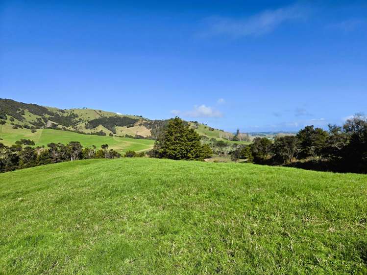 Whakahara Road Dargaville_8