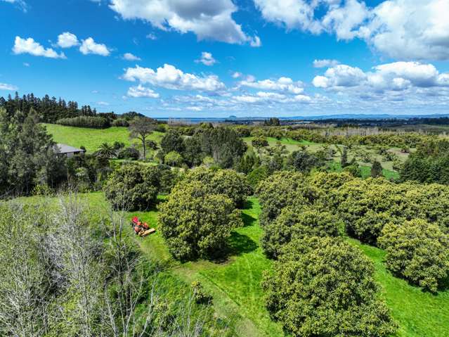 53C Woodland Road Katikati_4