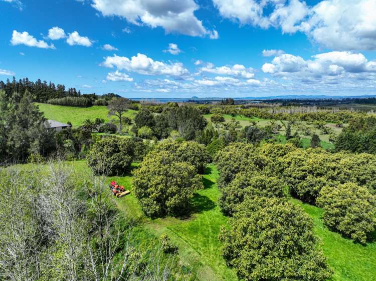 53C Woodland Road Katikati_5