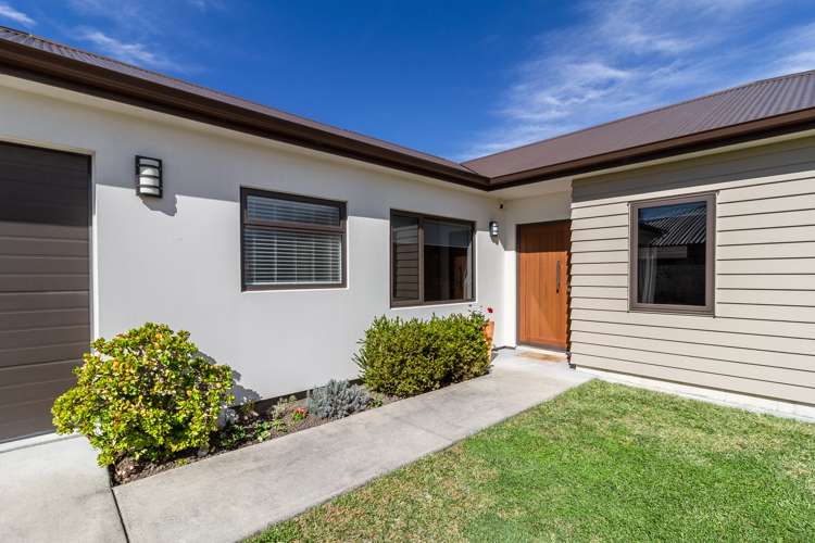 61a Avondale Road Taradale_12