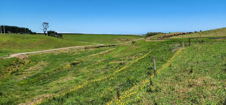 5 Kakaramea Road Patea_10