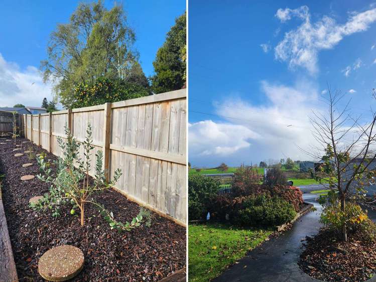 10 Sandes Street Ohaupo_17